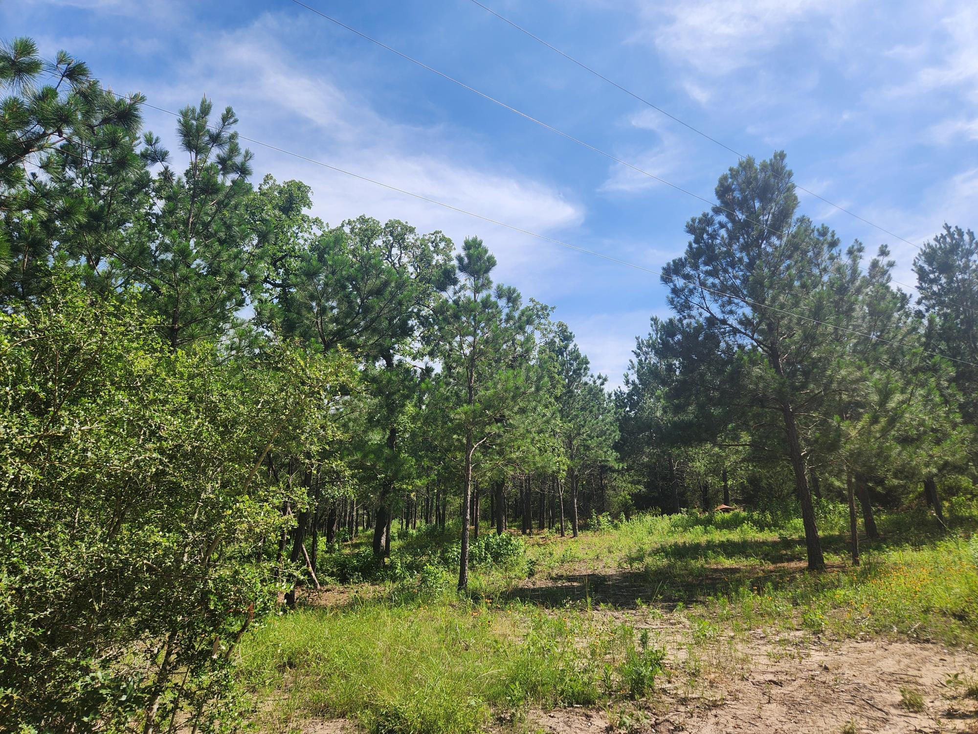124 Paintbrush, Bastrop, TX 78602 — photo 1
