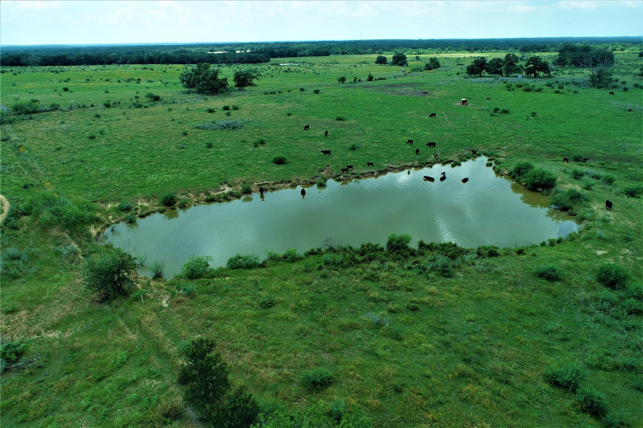 TBD  CANNON SNAP Rd, Milano, TX 76556 — photo 1