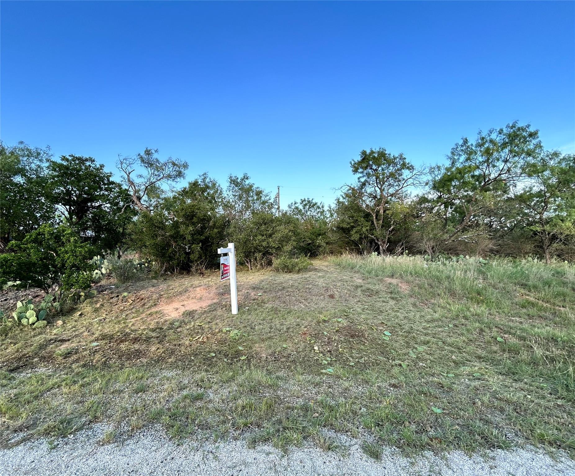 TBD Cactus, Kingsland, TX 78639 — photo 1