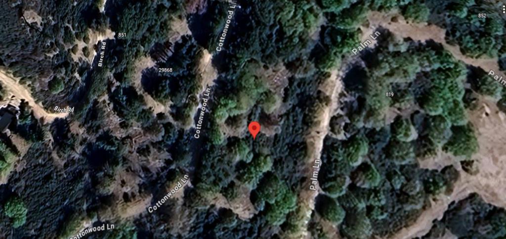 29865 Hickory Drive, Cedar Glen, CA 92321 — photo 1