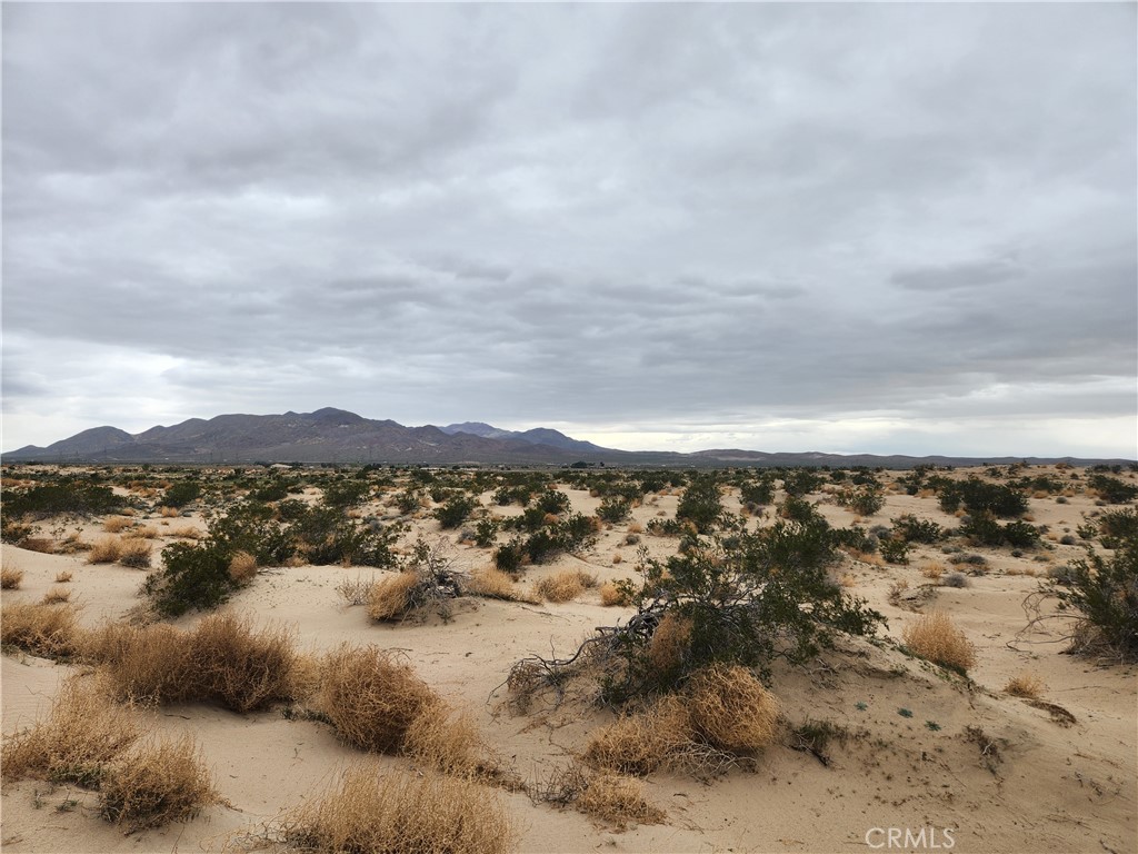 40 AC on Yearling Road, Newberry Springs, CA 92356 — photo 1
