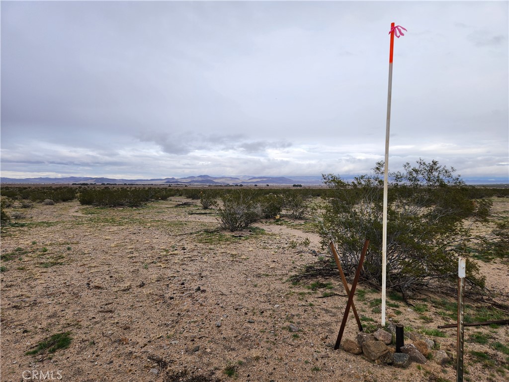 40 AC Near Center Road, Newberry Springs, CA 92356 — photo 1