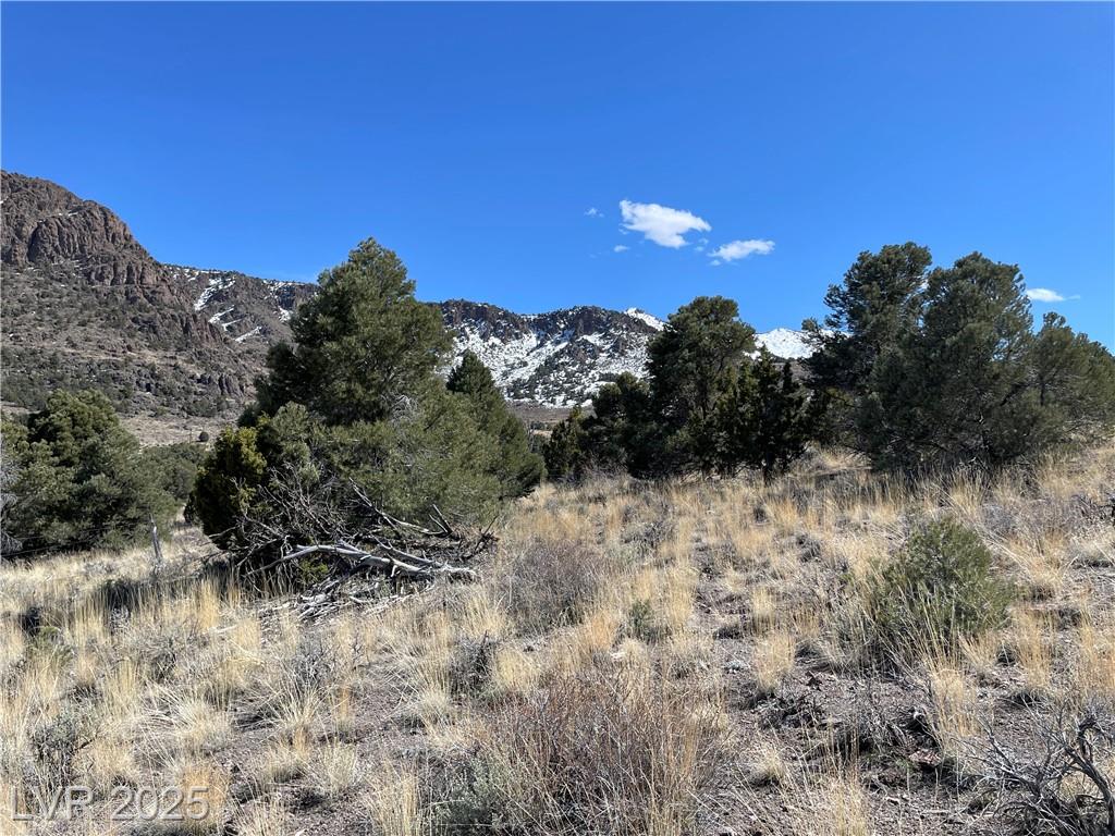 P-15 Butte Valley, Ely, NV 89301 — photo 1