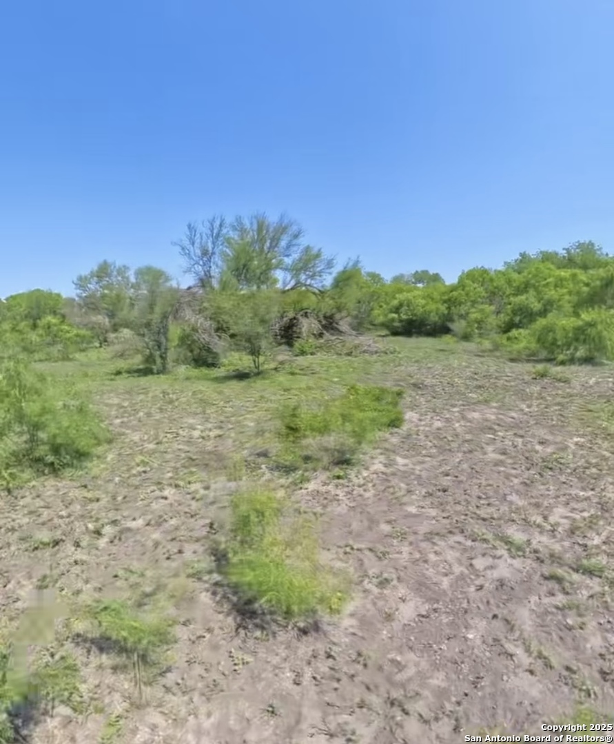 LOT 2 0 CR 197, Falls City, TX 78113 — photo 1