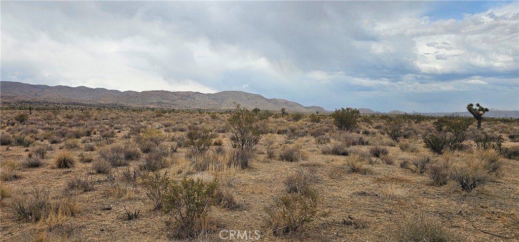 0 116th Street W, Rosamond, CA 93505 — photo 1