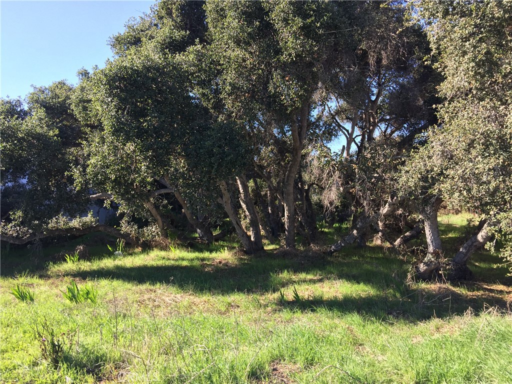 2021 9th Street, Los Osos, CA 93402 — photo 1