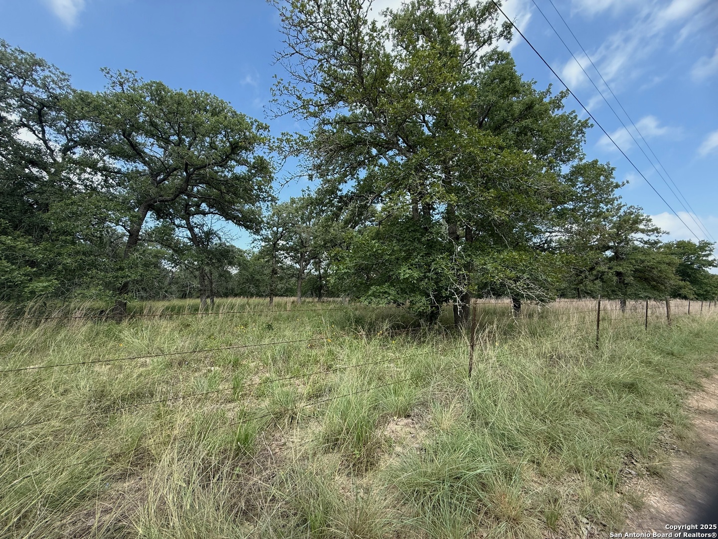 297 LITTLEHORN LN, Stockdale, TX 78160 — photo 1
