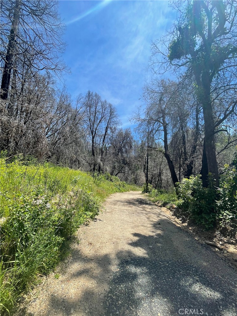 180 Mirage Lake Road, Berry Creek, CA 95916 — photo 1
