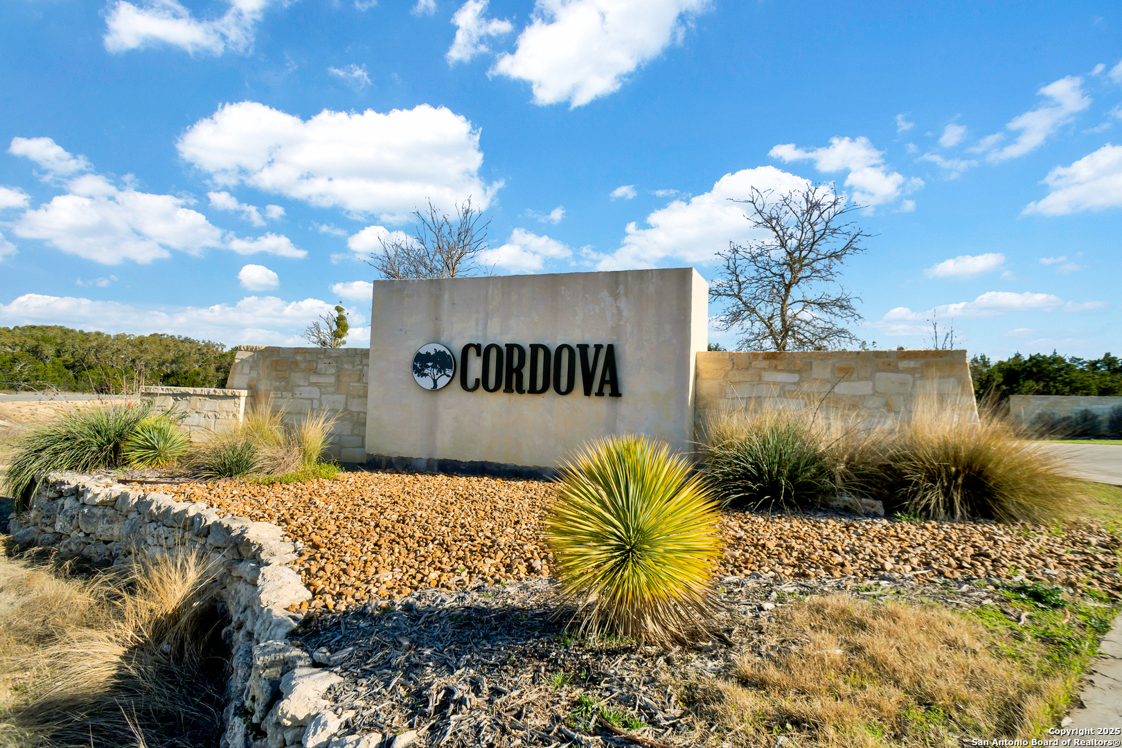 977 Malbec, Canyon Lake, TX 78133 — photo 1