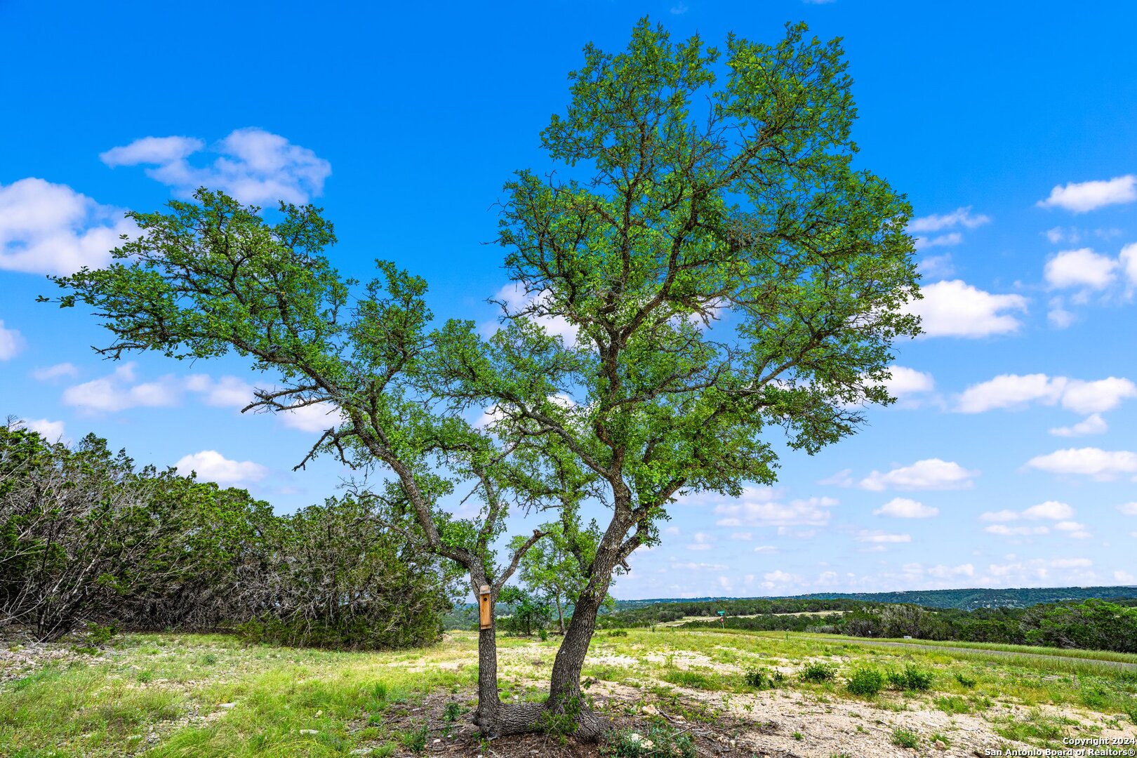 195 Countless Views Dr., Kerrville, TX 78028 — photo 1