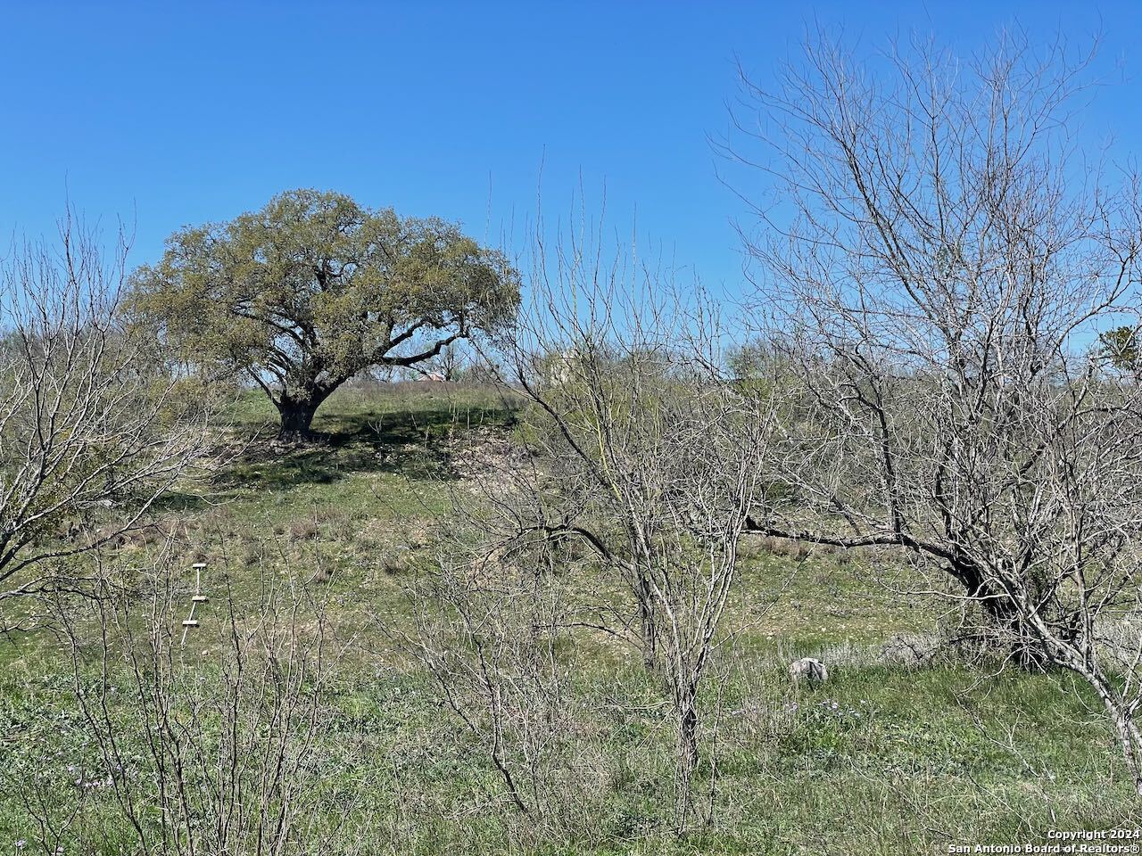 6220 FM 2676, Hondo, TX 78861 — photo 1