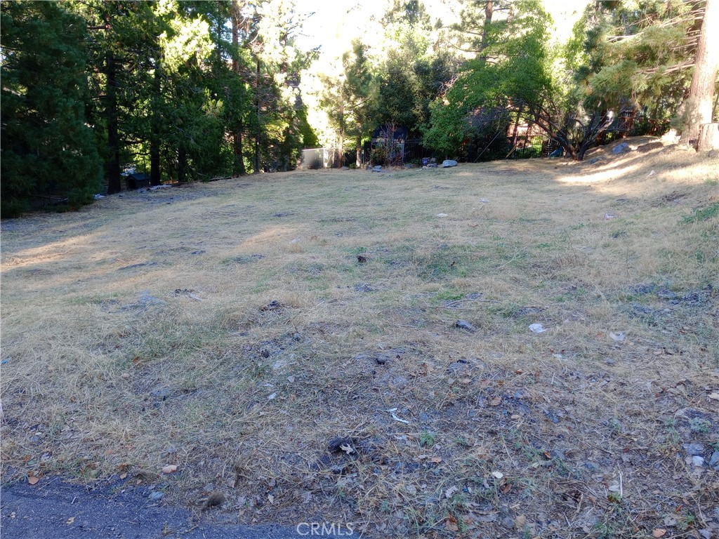 5457 Morning Star Court, Wrightwood, CA 92397 — photo 1