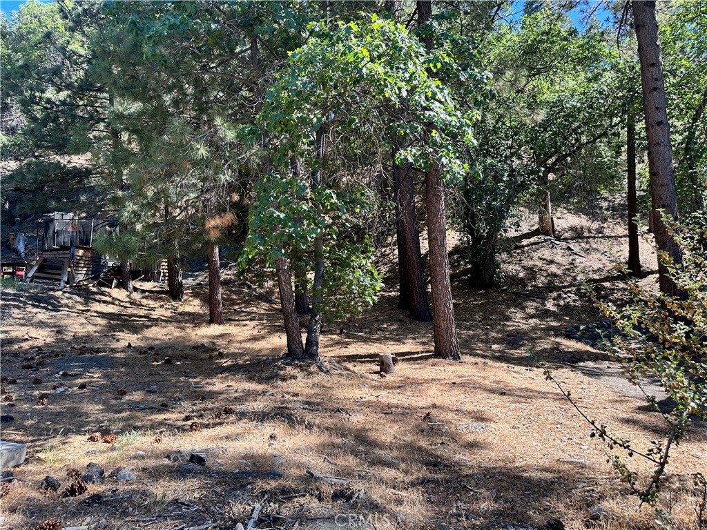 0 Heath Creek Drive, Wrightwood, CA 92397 — photo 1