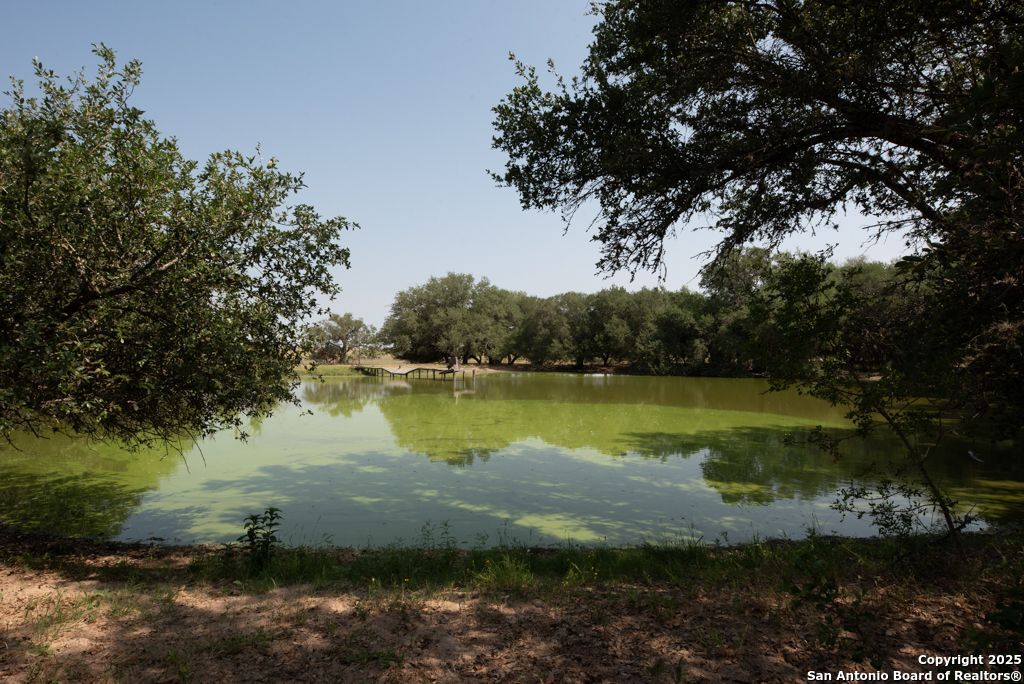 1003 County Road 334, Stockdale, TX 78160 — photo 1