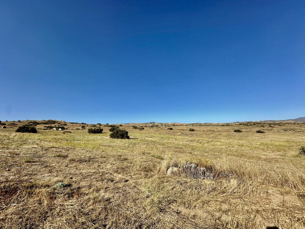 41300 Jojoba Hills Circle, Aguanga, CA 92536 — photo 1