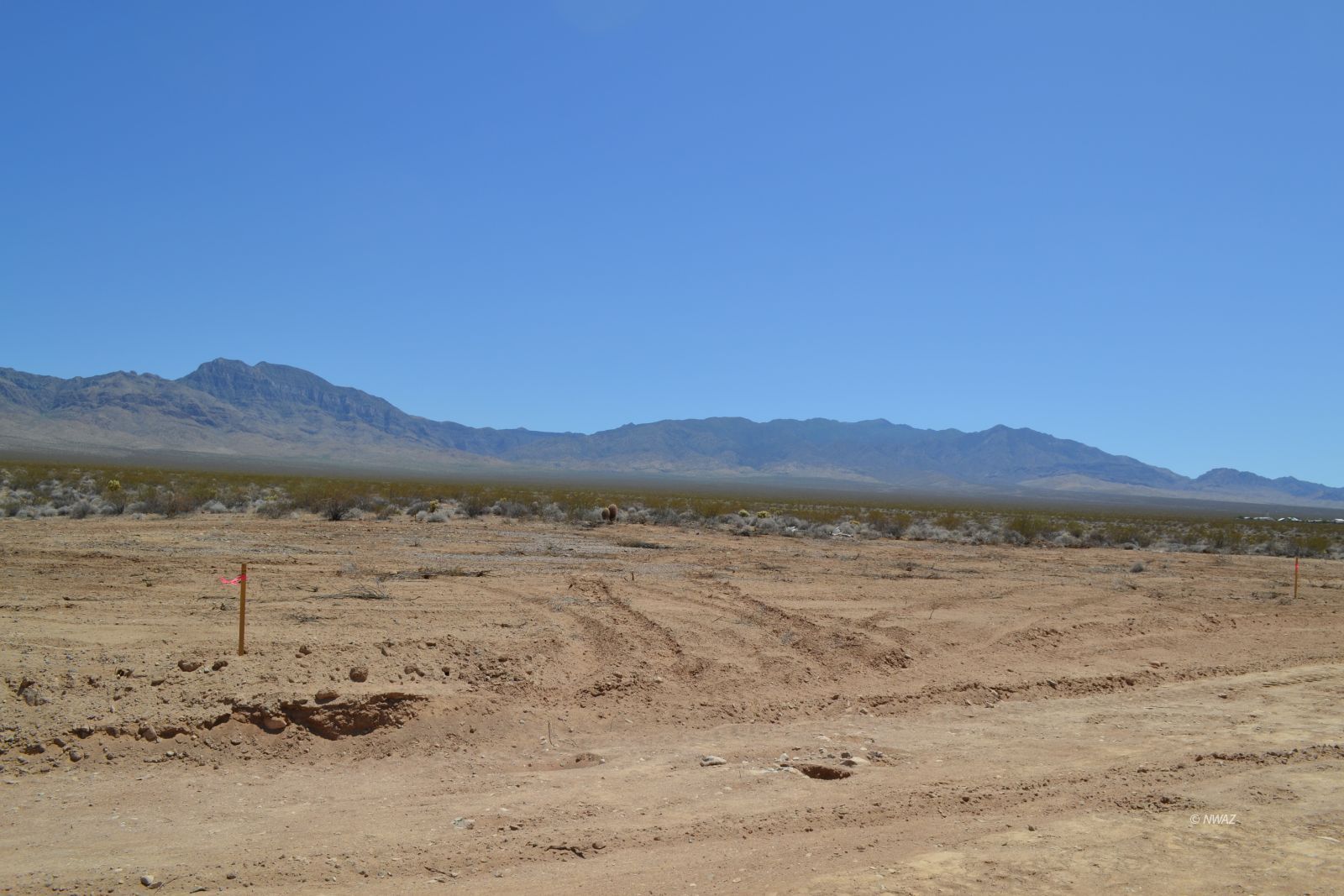 South of Elbow Canyon, Littlefield, AZ 86432 — photo 1
