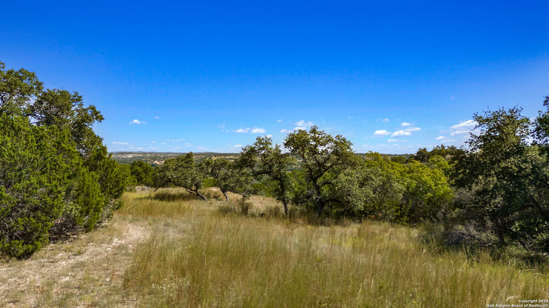 455 BLACKBIRD DR, Spring Branch, TX 78070 — photo 1