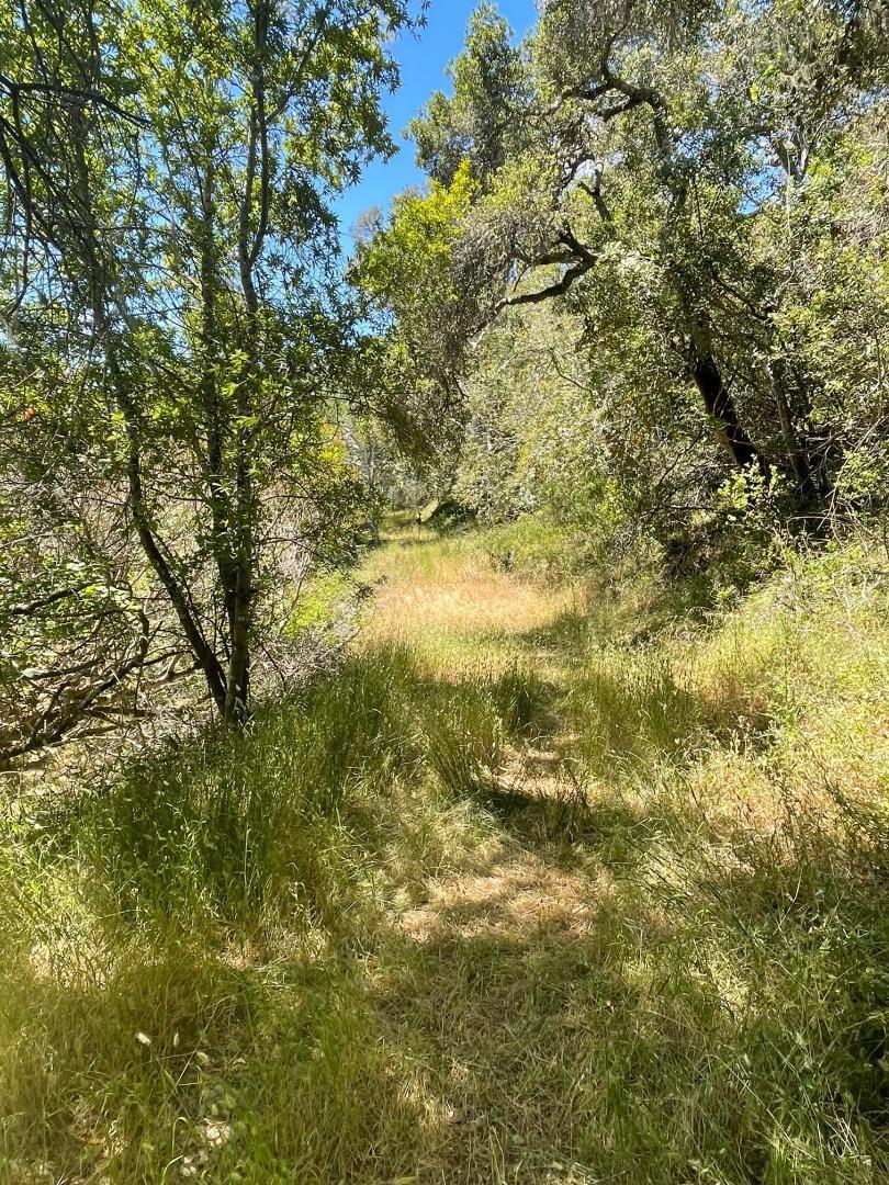 0 Crystal Springs Rd, Hillsborough, CA 94010 — photo 1