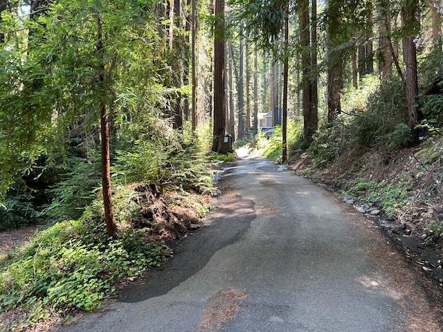 141 Leafwood Drive, Boulder Creek, CA 95006 — photo 1
