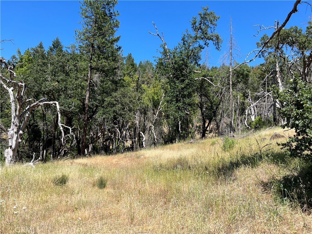 20925 Mid Mountain (17N17 USFS) Road, Upper Lake, CA 95469 — photo 1
