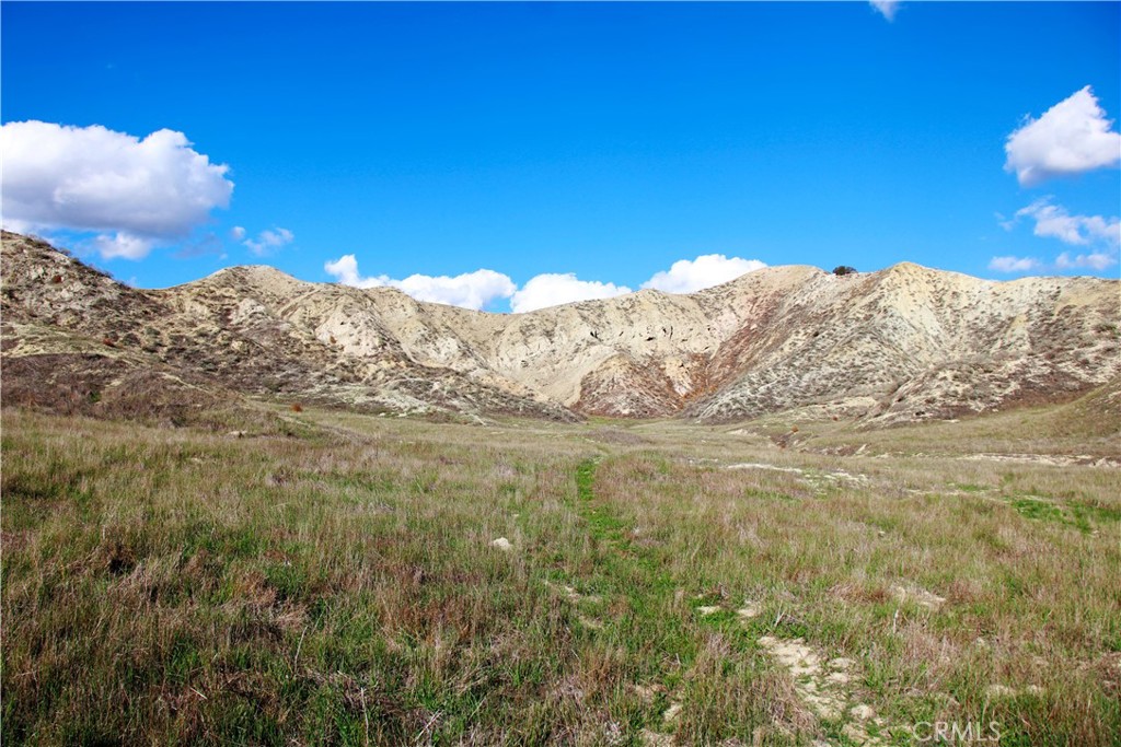 40 Gilman Springs