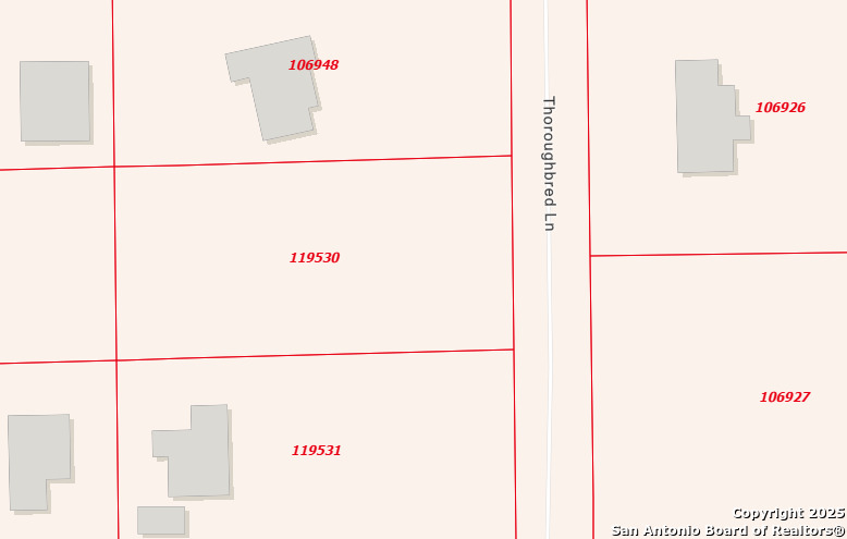 457 Thoroughbred, Spring Branch, TX 78070 — photo 1