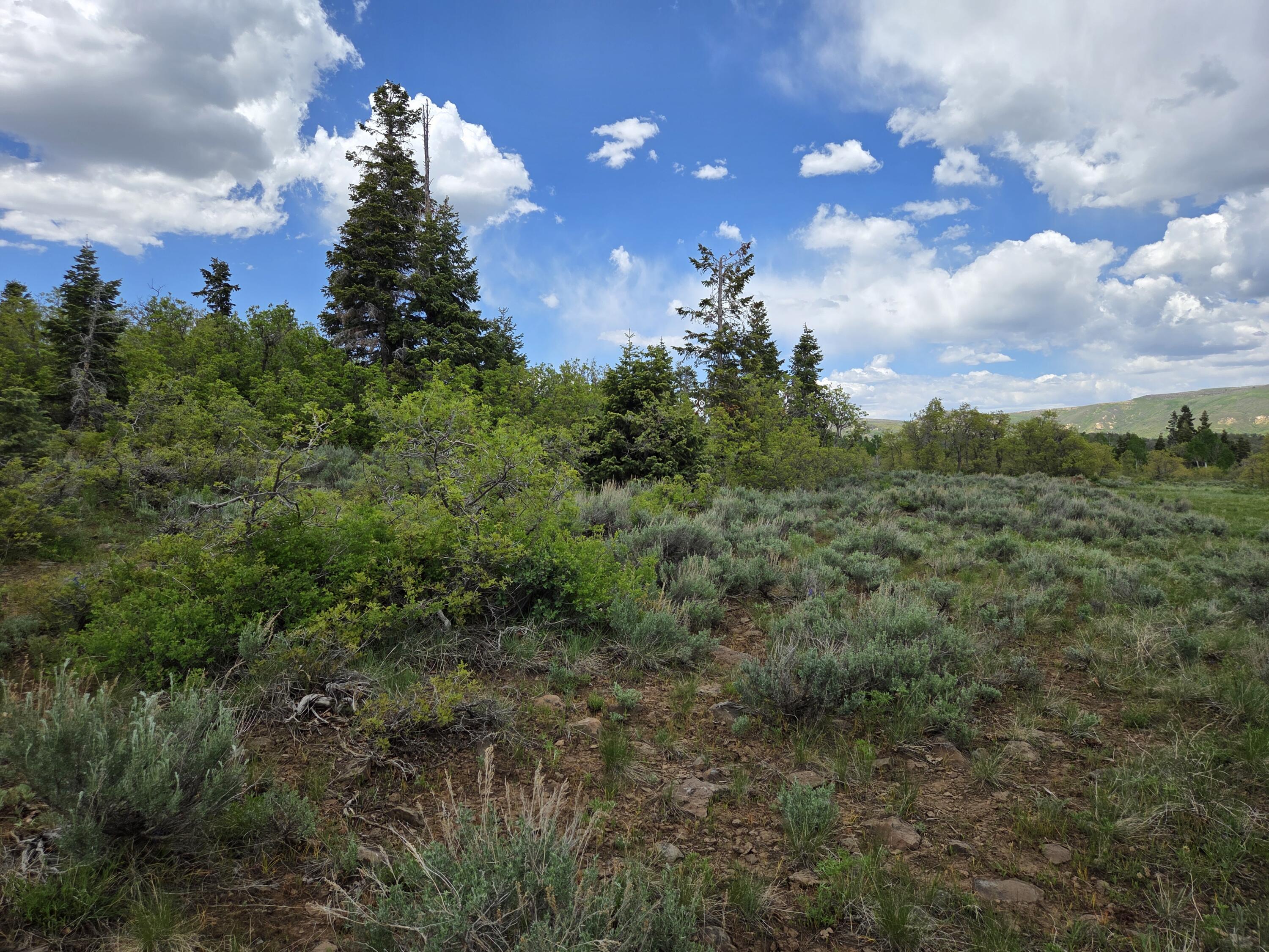 Lot 10 Spring DR, Virgin, UT 84779 — photo 1