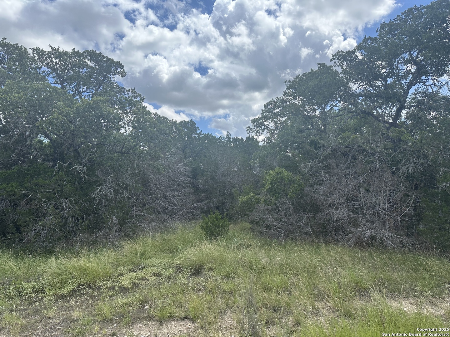 275 Serenity Pass, Spring Branch, TX 78070 — photo 1