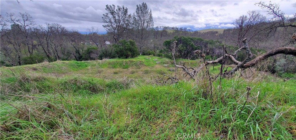 6960 Cougar Drive, Corning, CA 96021 — photo 1