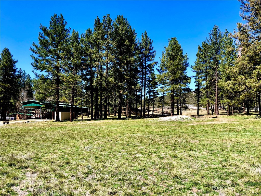 0 Butterfly Peak Rd., Mountain Center, CA 92561 — photo 1