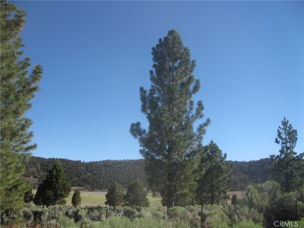 2805 Cedar Lane, Big Bear City, CA 92314 — photo 1