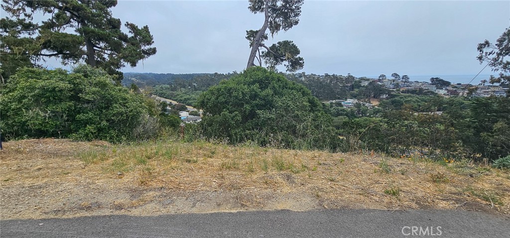 0 Croyden Lane, Cambria, CA 93428 — photo 1