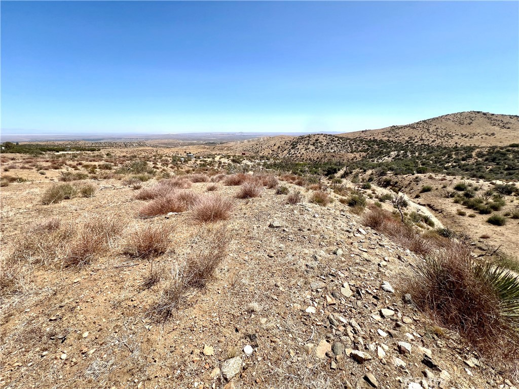 113 Juniper Mesa Road, Juniper Hills, CA 93543 — photo 1