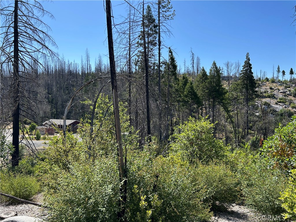 0 Oak Drive, Berry Creek, CA 95916 — photo 1
