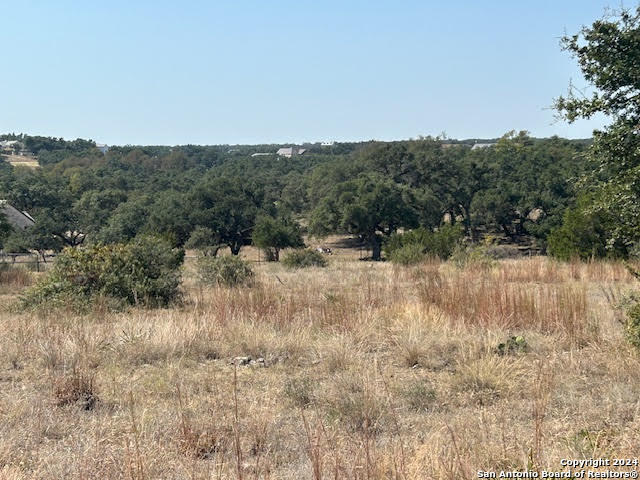 134 George Dolson, Blanco, TX 78606 — photo 1