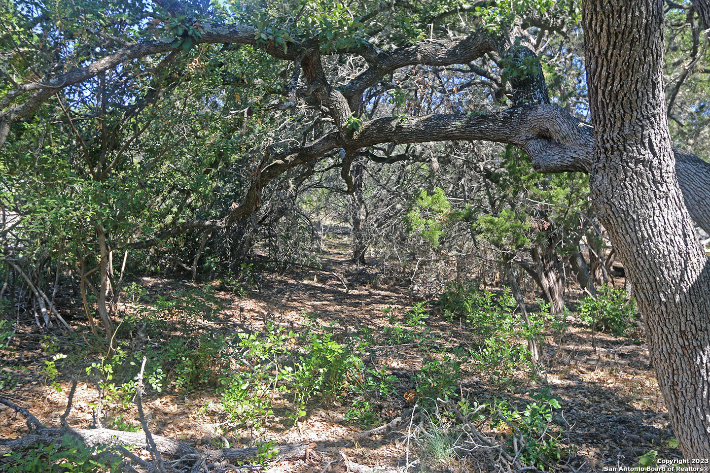 1118 Stagecoach Dr, Canyon Lake, TX 78133 — photo 1