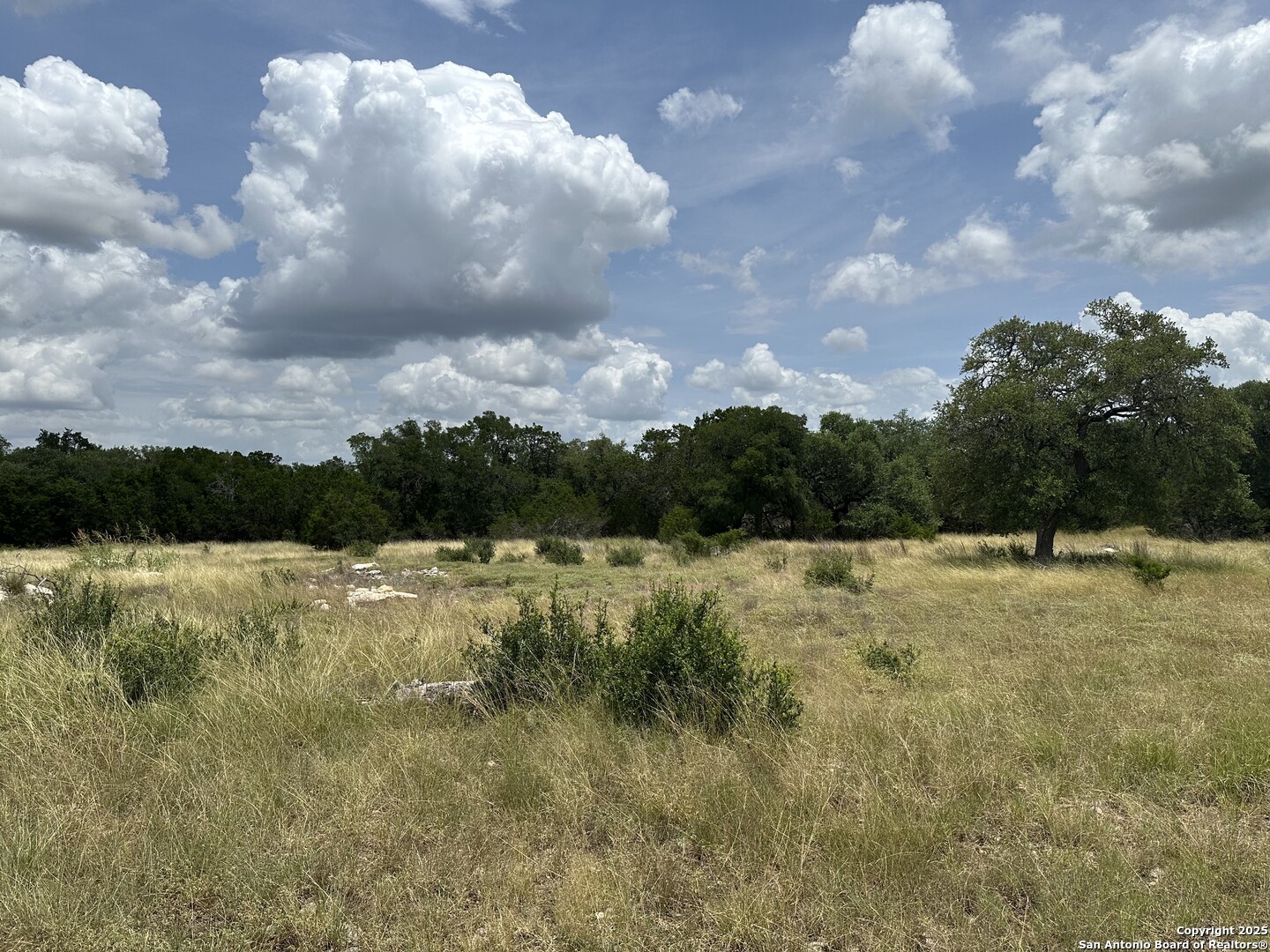 571 Rayner Ranch, Spring Branch, TX 78070 — photo 1