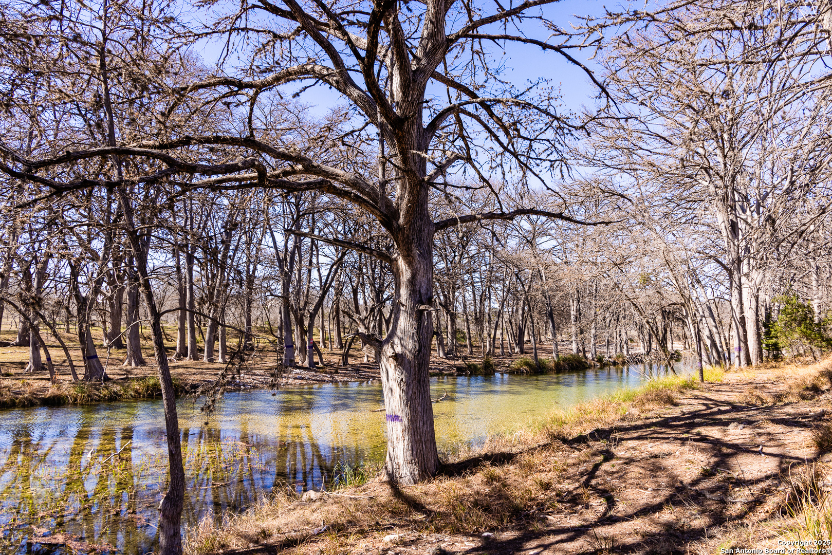 2350 Little Dry Frio Road, Rio Frio, TX 78879 — photo 1