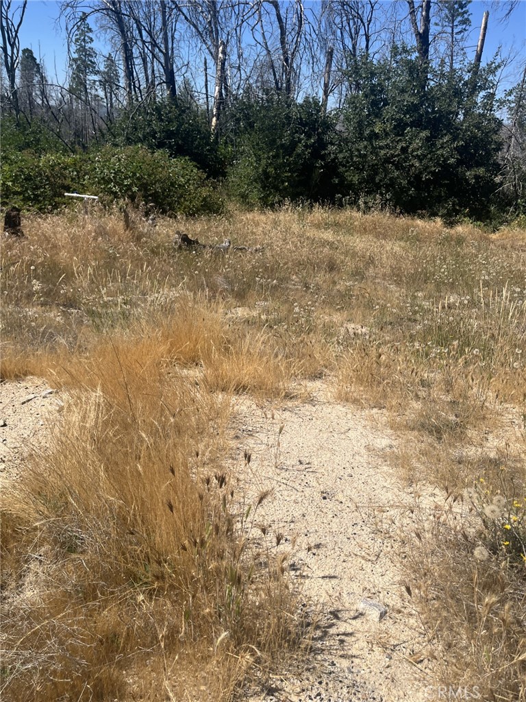 130 Simpson Ranch Road, Berry Creek, CA 95916 — photo 1