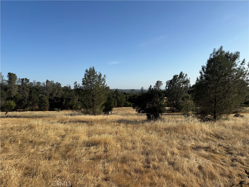 0 Skyline Boulevard, Oroville, CA 95966 — photo 1