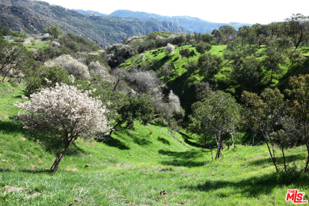 524 Moonrise, Malibu, CA 90265 — photo 1