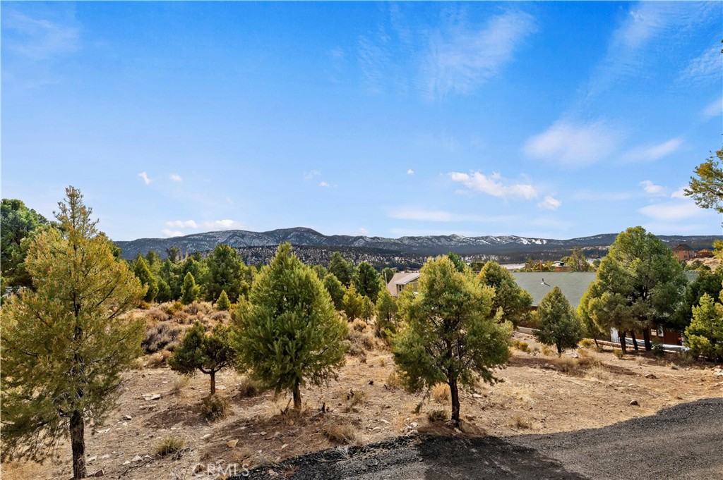 0 Sunny Slope Lane, Big Bear City, CA 92314 — photo 1