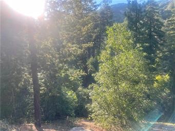 0 Elder Drive, Cedar Glen, CA 92321 — photo 1