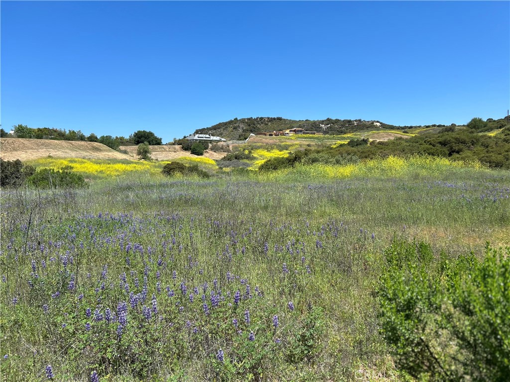24201 Mulholland Highway, Calabasas, CA 91302 — photo 1