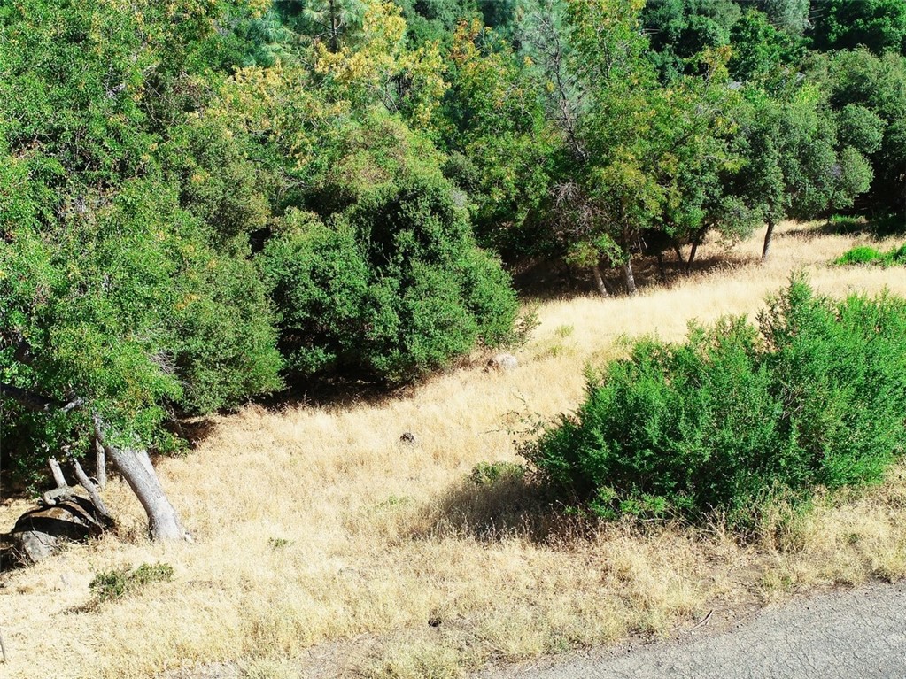 10610 Boren Bega Drive, Kelseyville, CA 95451 — photo 1