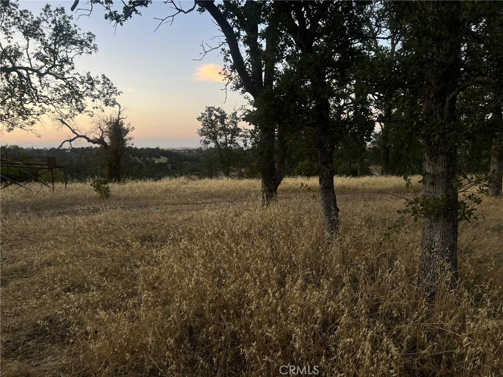 6915 Remunda Road, Corning, CA 96021 — photo 1
