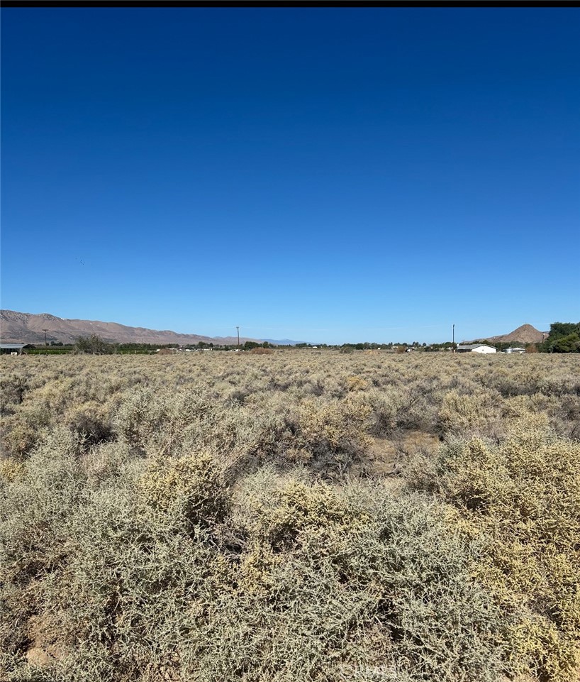 0 Mesquite Springs, 29 Palms, CA 92277 — photo 1