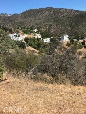 1 Latigo Cyn & Ocean View, Malibu, CA 90265 — photo 1