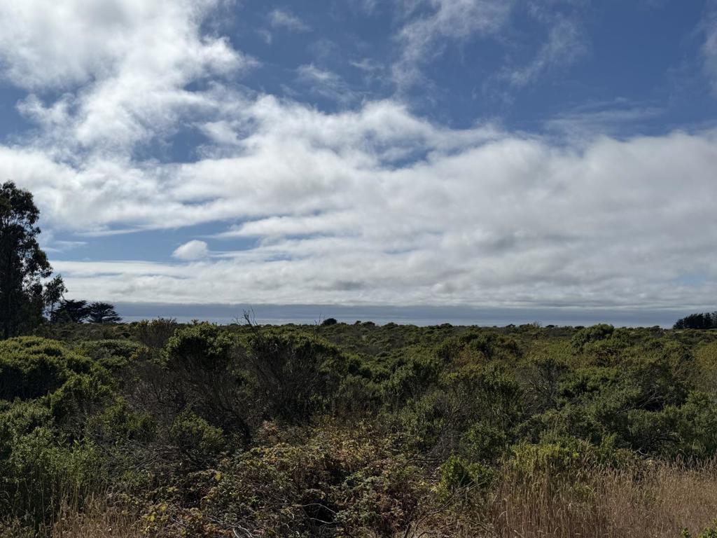 0 Bonita Ave., Half Moon Bay, CA 94019 — photo 1