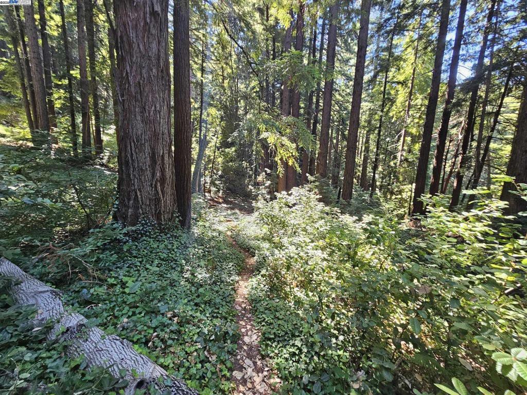 LOT27 Old La Honda Rd, Woodside, CA 94062 — photo 1